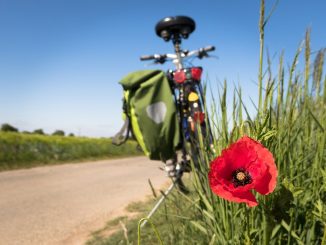 Fahrradtaschen Ratgeber - Packtipps, Montage und Diebstahlsicherung