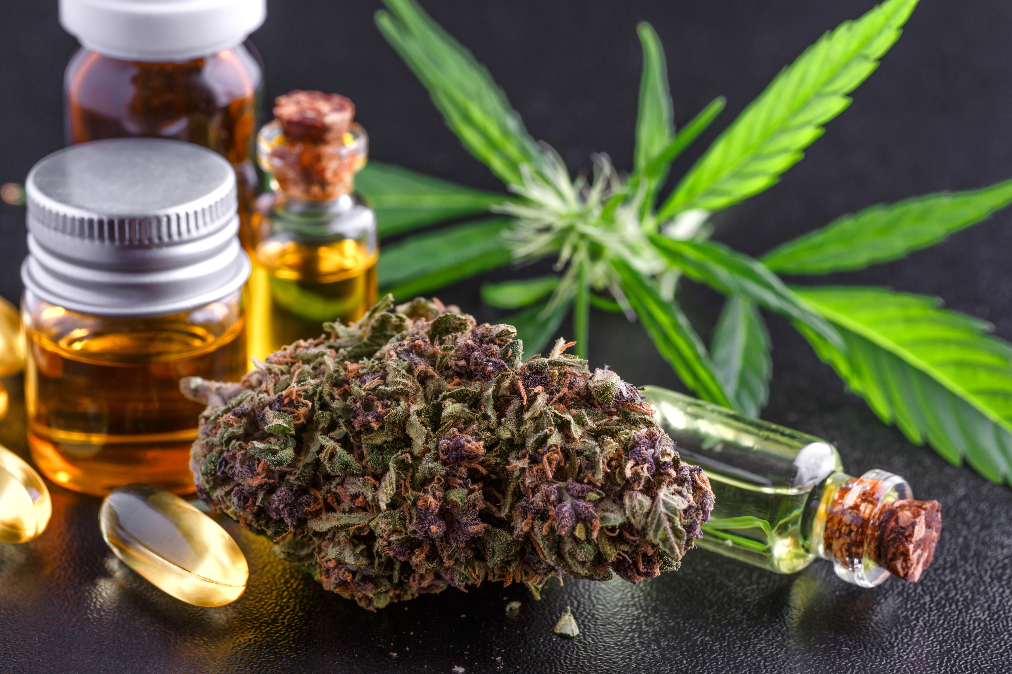 CBD, THC, Terpene: Die wichtigsten Begriffe rund um Cannabisprodukte verständlich erklärt